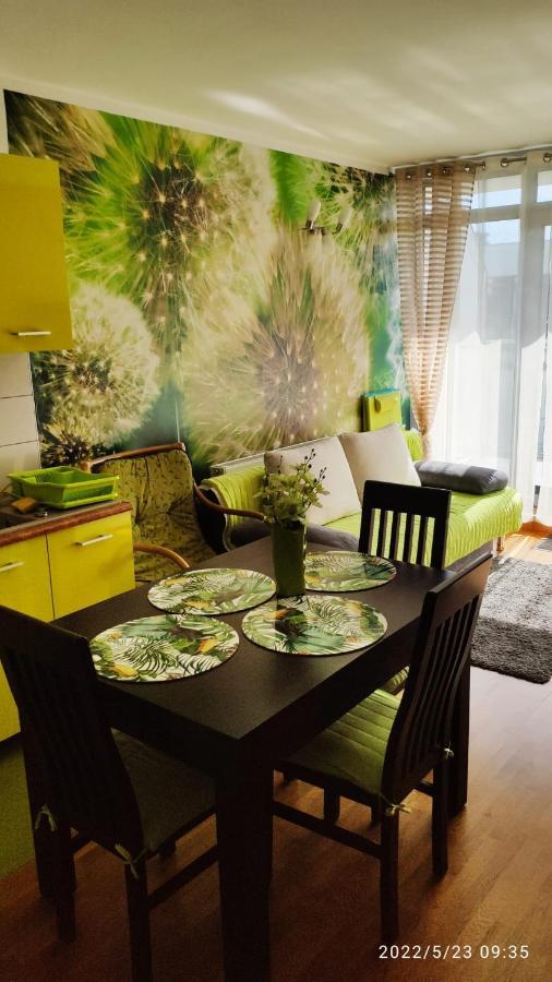 Apartment Apartament Limonka